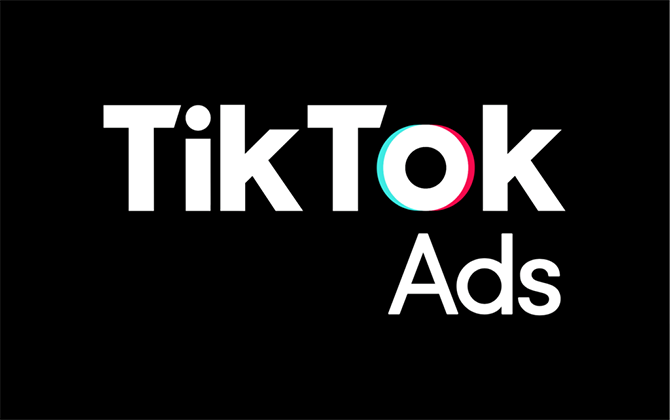 Gestión de TikTok Ads